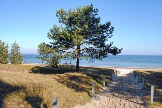 Strandvilla Aegir Mit Ostseeblick Binz Exterior foto